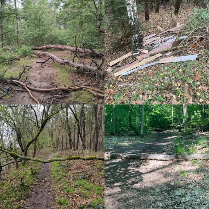 ReportATree Einstellung